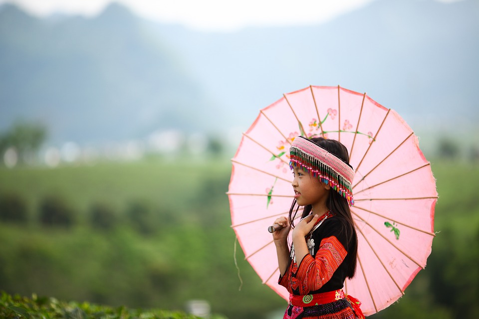 A person in traditional attire holding a pink parasol with a natural Vietnamese landscape in the background.